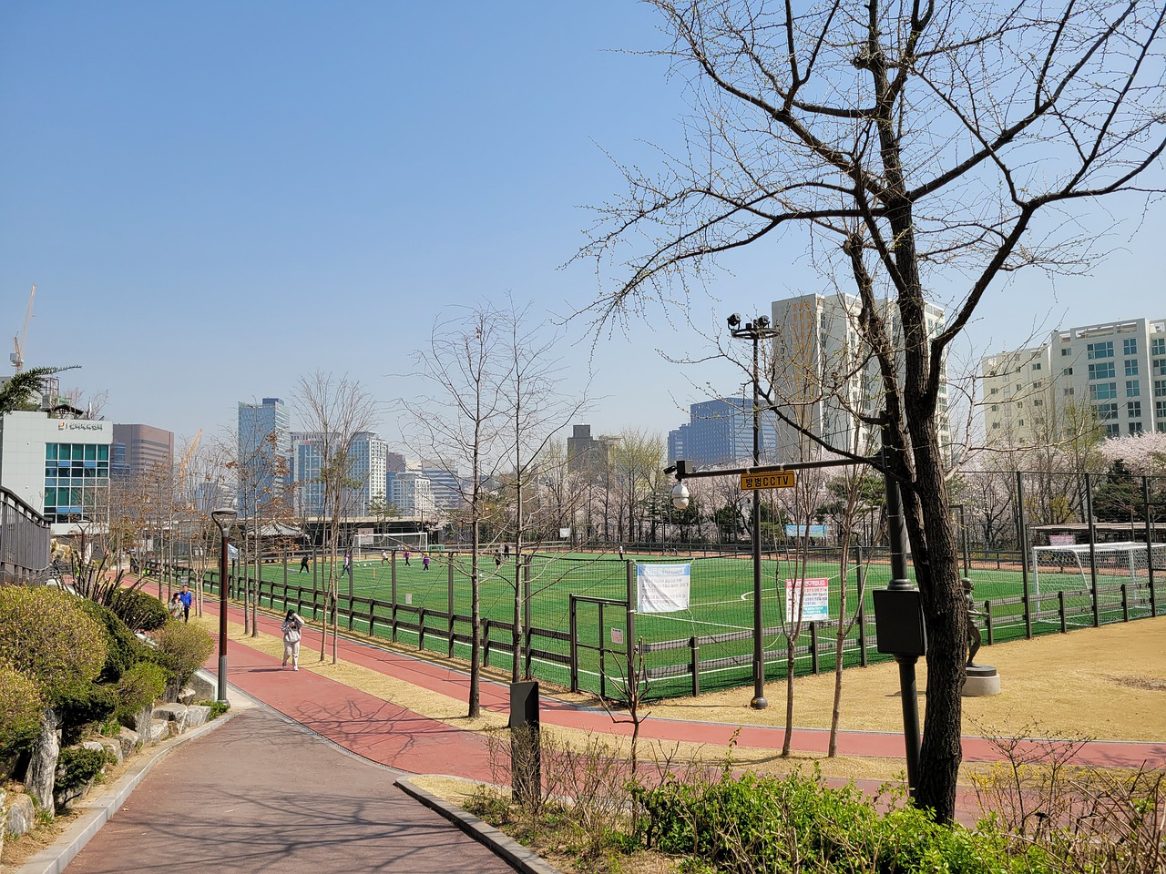 使得山东泰