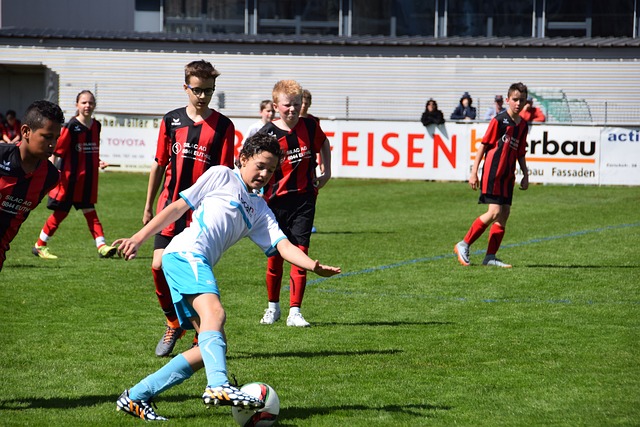 赛的大门 赛的大门