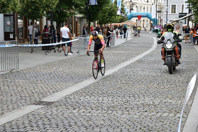 可替代地位 可替代地位