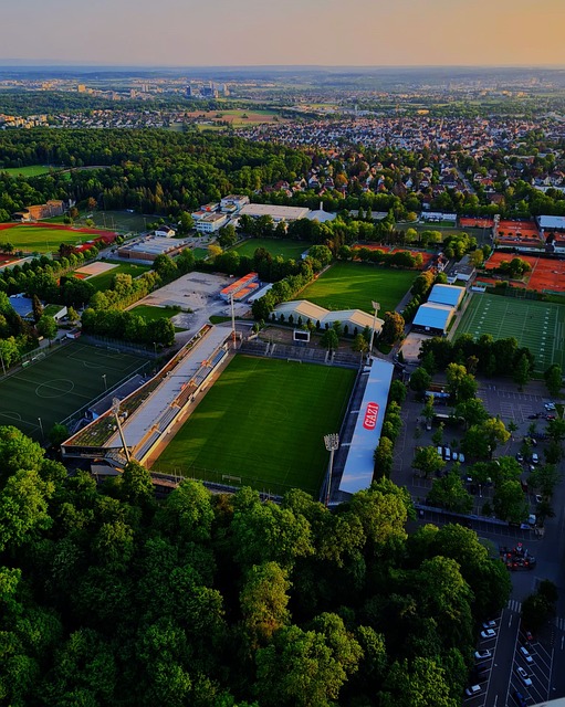 赛季的整体 赛季的整体