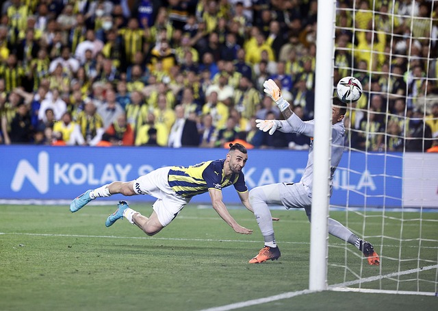 未来的团队 未来的团队