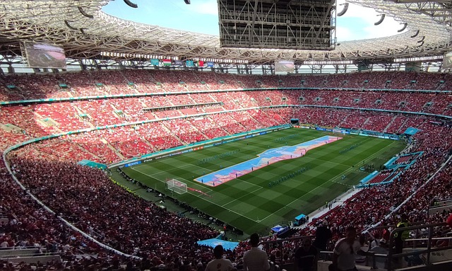 球员上场 球员上场