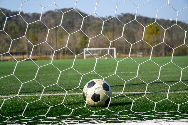 名前锋的角 名前锋的角