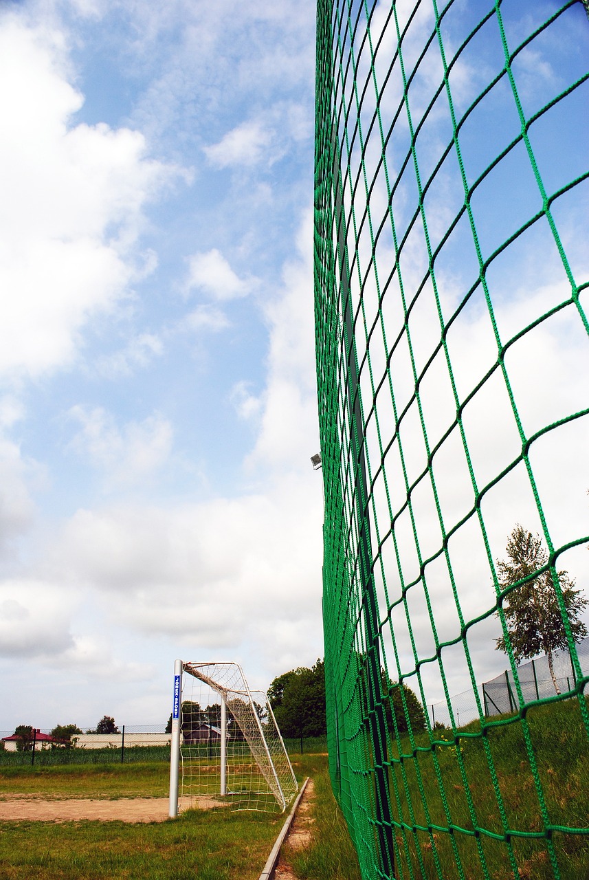 努力寻求突 努力寻求突