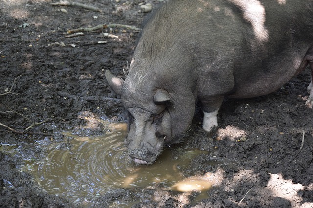 次創造出得 次創造出得